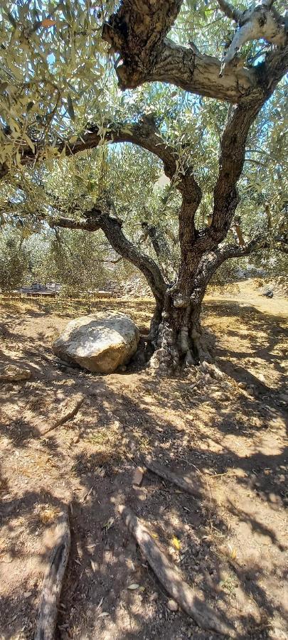 The Byzantine Wall House 이스트미아 외부 사진